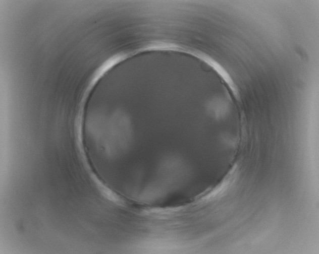 X0000115321245200911231344