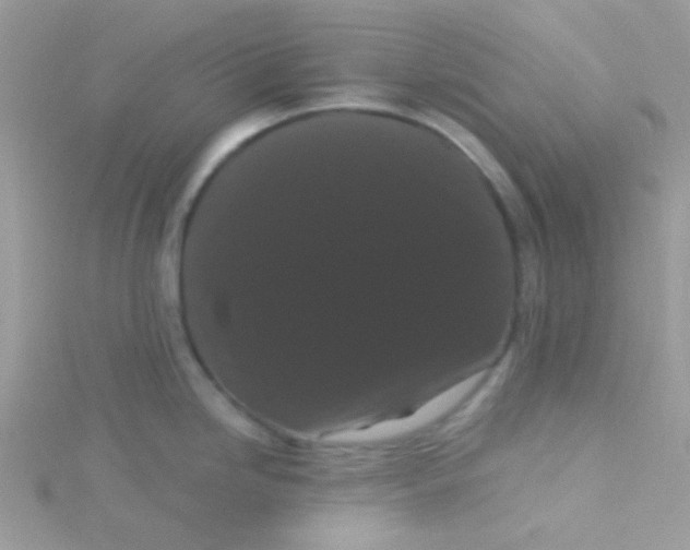 X0000115321246200911231344