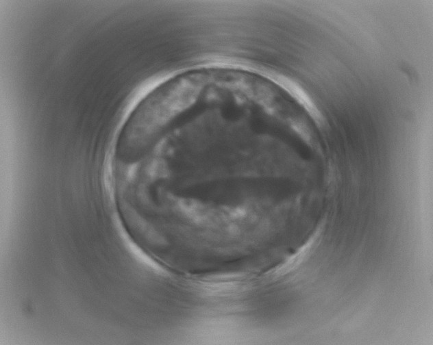 X0000115321247200911231344