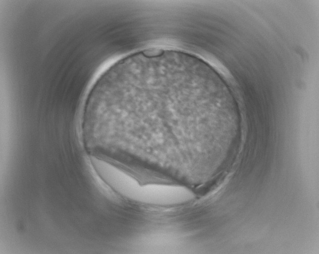 X0000115321248200911231344