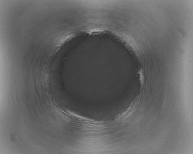 X0000115321252200911231343