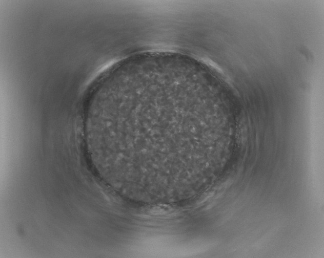 X0000115321255200911231343