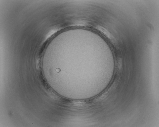 X0000115321258200911231343