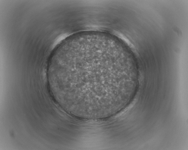 X0000115321259200911231343