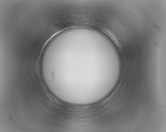 X0000115321260200911231343