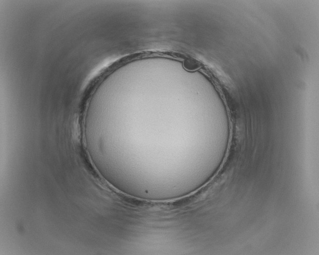 X0000115321262200911231343