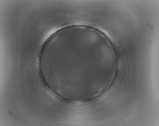 X0000115321263200911231343