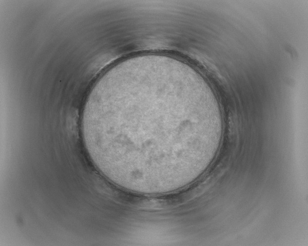 X0000115321265200911231343