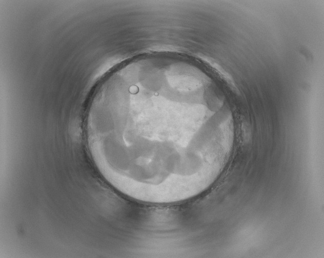 X0000115321266200911231343