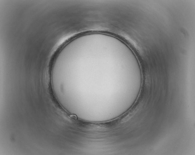 X0000115321270200911231343