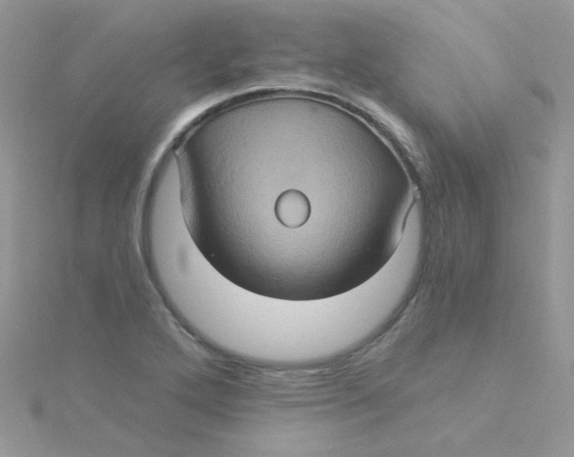 X0000115321272200911231343