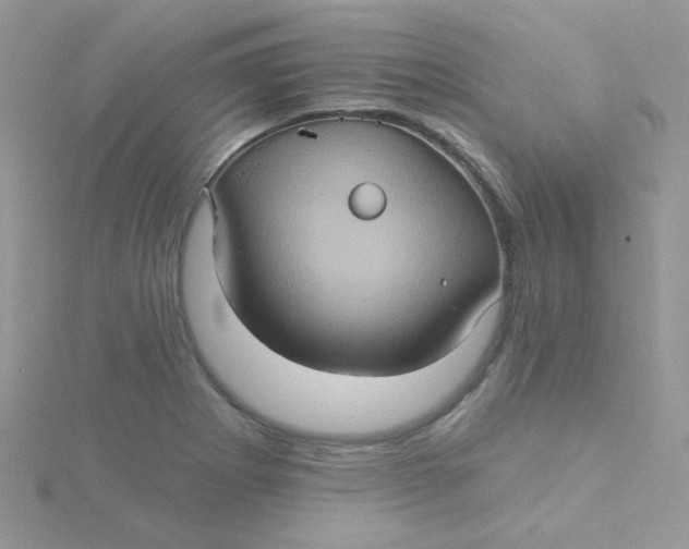 X0000115321273200911231343