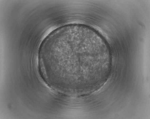 X0000115321274200911231343