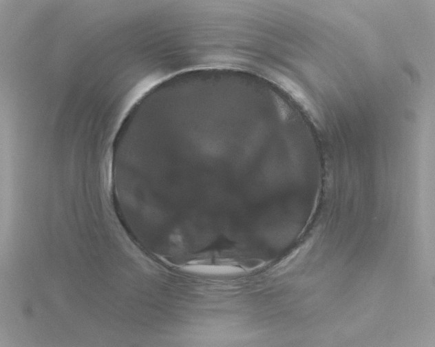 X0000115321275200911231343