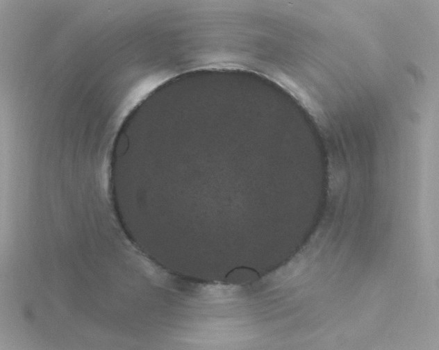 X0000115321277200911231343