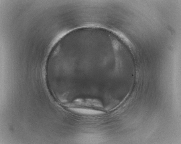 X0000115321279200911231343