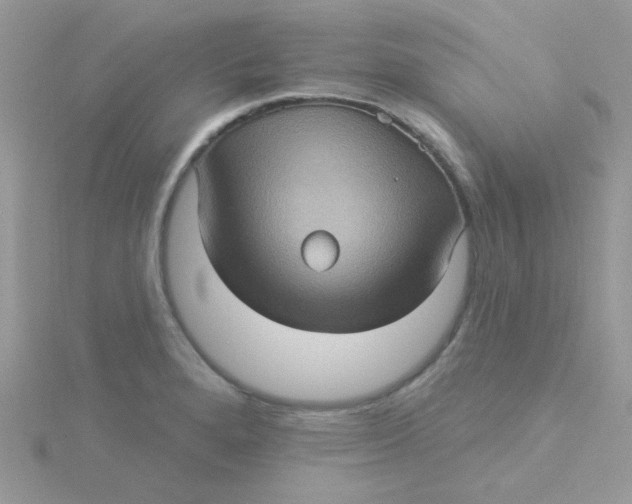 X0000115321280200911231343