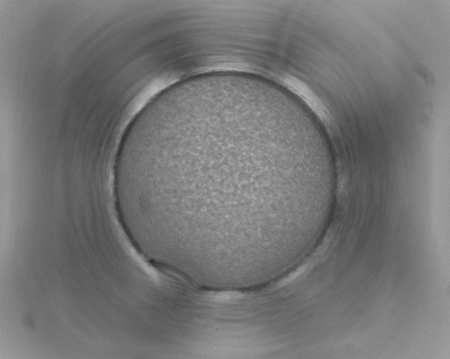 X0000115321282200911231343