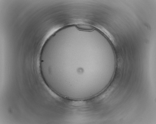 X0000115321285200911231343