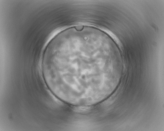 X0000115321294200911231343