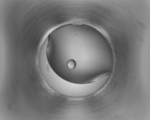 X0000115321296200911231343