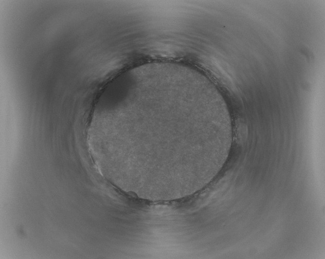 X0000115321297200911231342