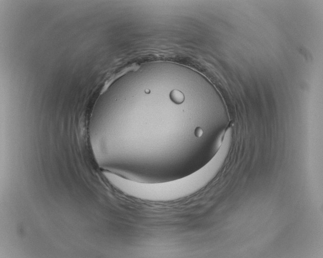 X0000115321298200911231342