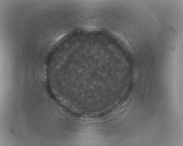 X0000115321301200911231342