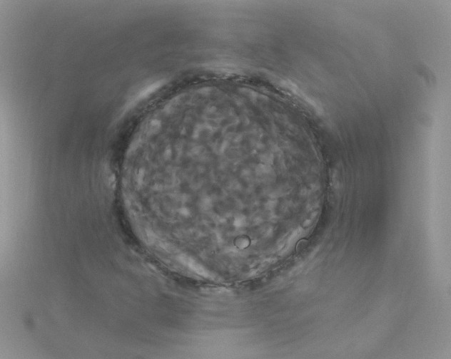 X0000115321302200911231342