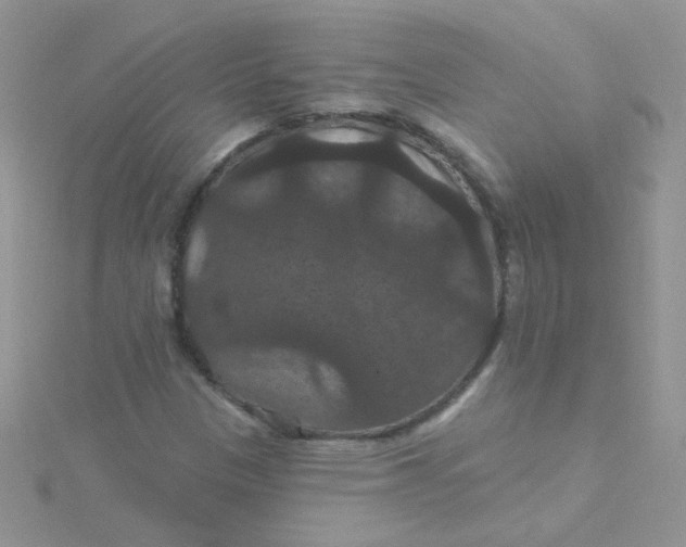 X0000115321305200911231342