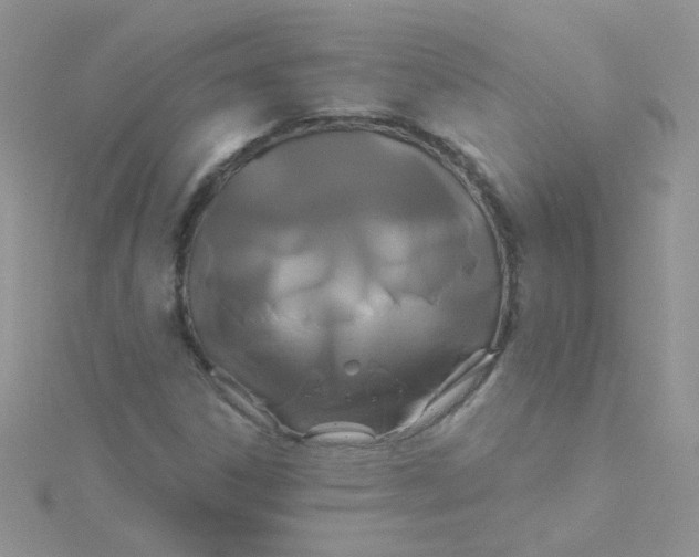 X0000115321306200911231342