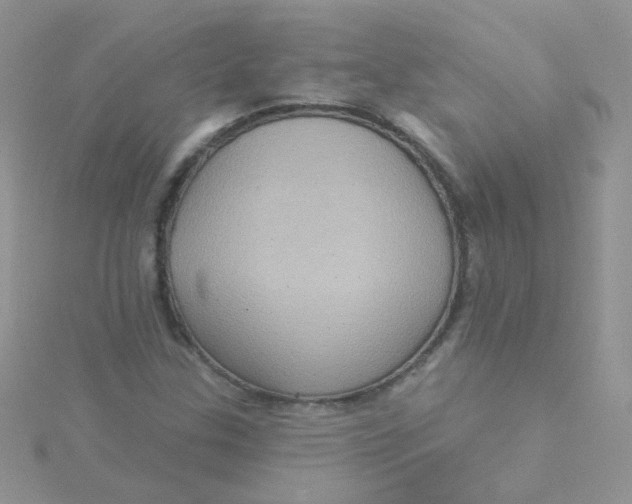 X0000115321307200911231342