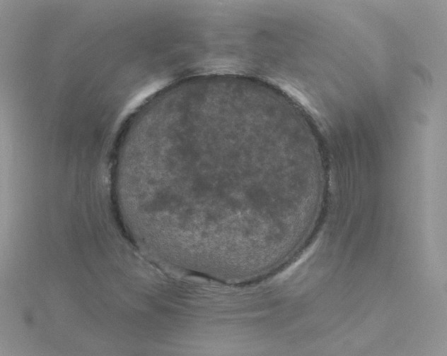 X0000115321309200911231342