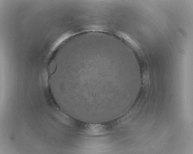 X0000115321310200911231342