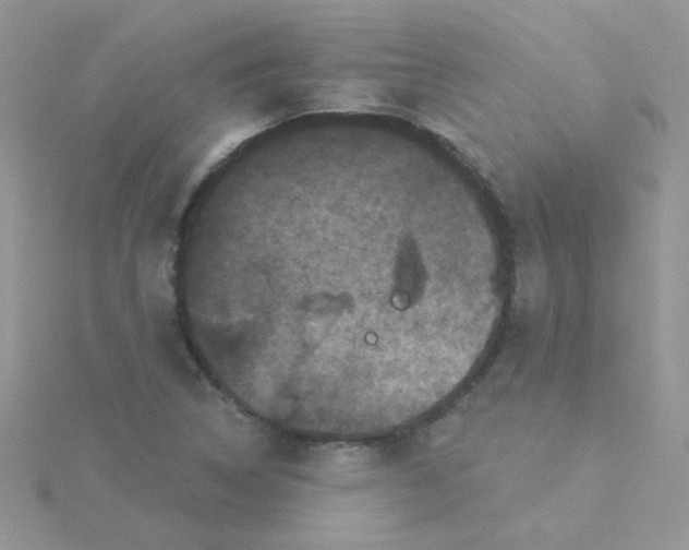 X0000115321314200911231342