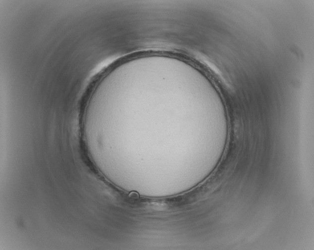 X0000115321315200911231342