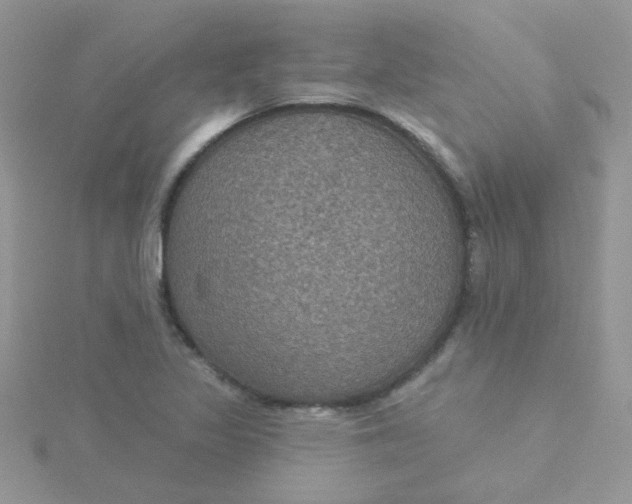 X0000115321317200911231342