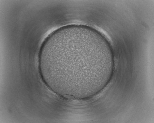 X0000115321318200911231342