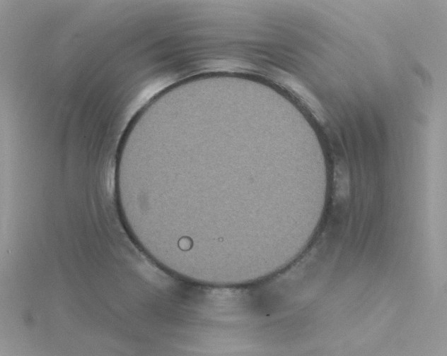 X0000115321322200911231342