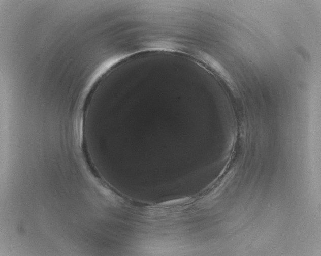 X0000115321323200911231342