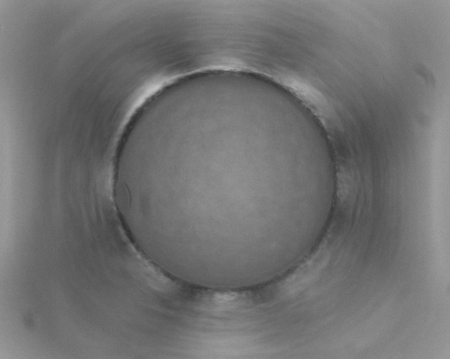 X0000115321326200911231342