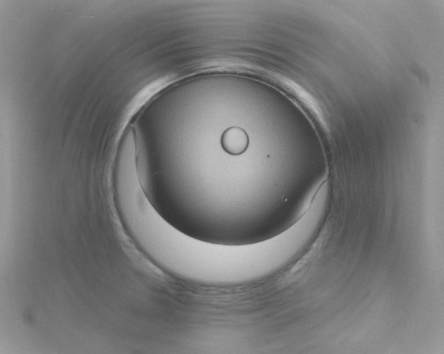 X0000115321330200911231342