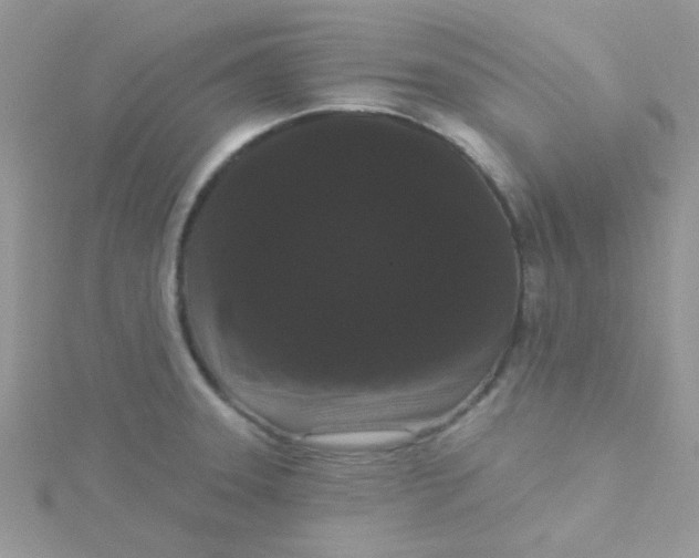 X0000115321331200911231342