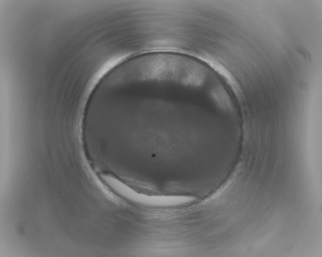 X0000115321333200911231342