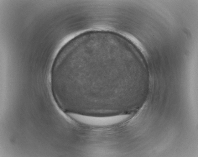 X0000115321335200911231342