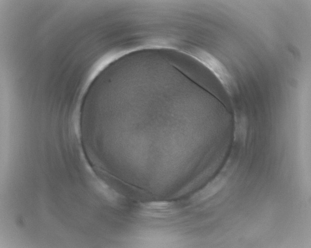 X0000115321342200911231343