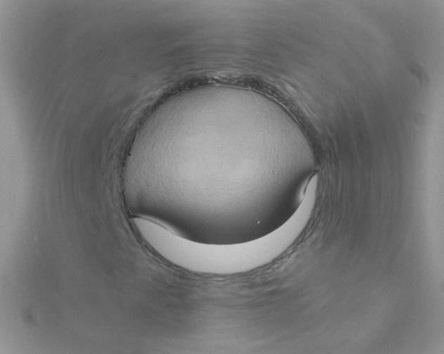 X0000115321345200911231342