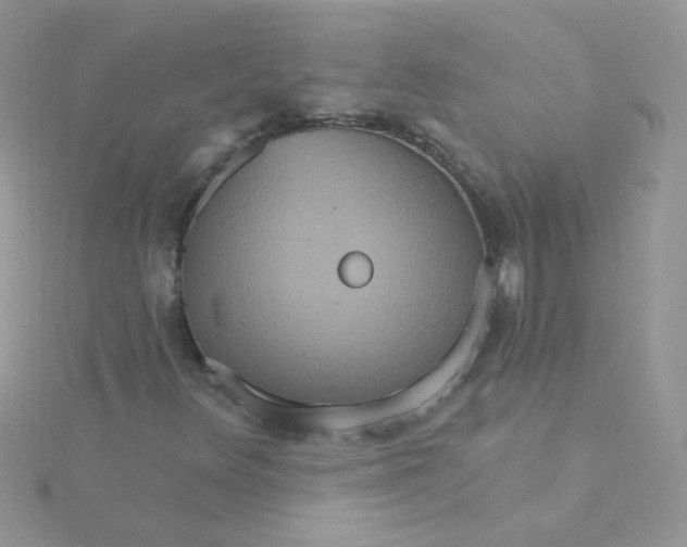 X0000115321348200911231342