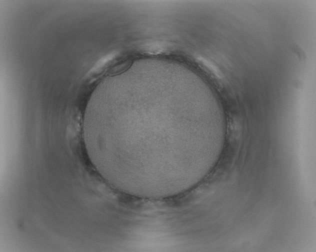 X0000115321349200911231342