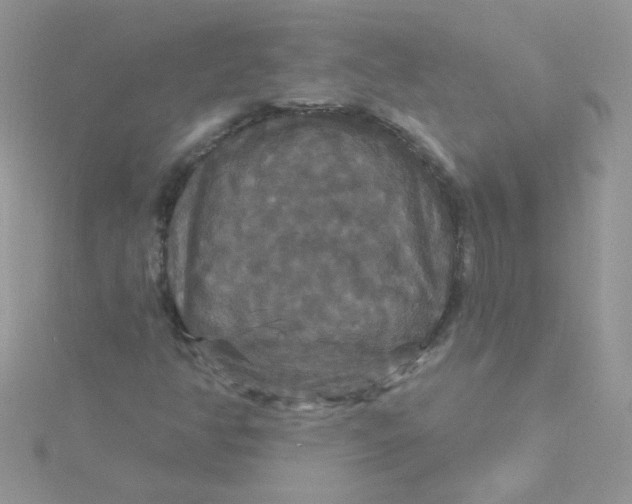 X0000115321350200911231342